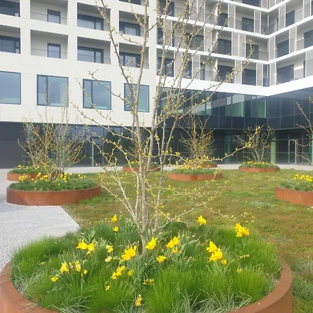 Апартаменты Modern On The Banks Of The Danube