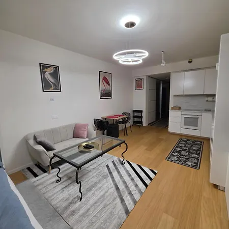 Modern On The Banks Of The Danube Lejlighed